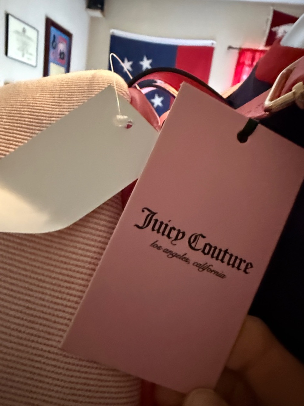 JUICY COUTURE Backpack with Hot Pink Trim and Strawberry Patch. CUTE/TRENDY 🥰 - Picture 5 of 5